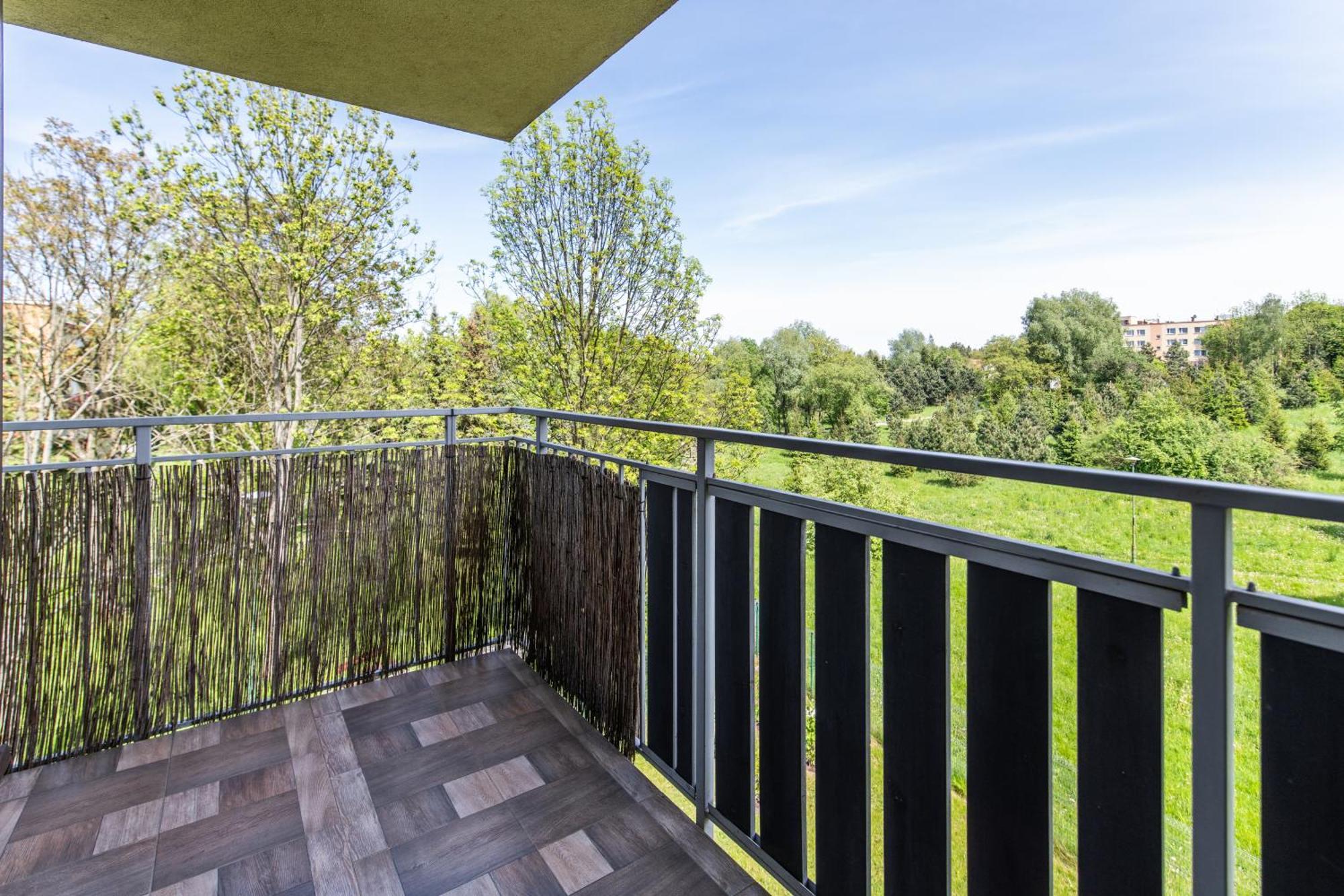 Large Luxury Apartment Wieliczka Exterior foto
